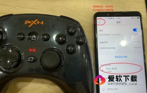 小鸡模拟器精简版 第4张图