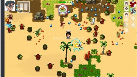 书呆子幸存者 第9张图