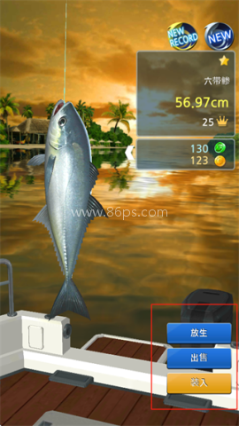 钓鱼胡克最新版 第4张图