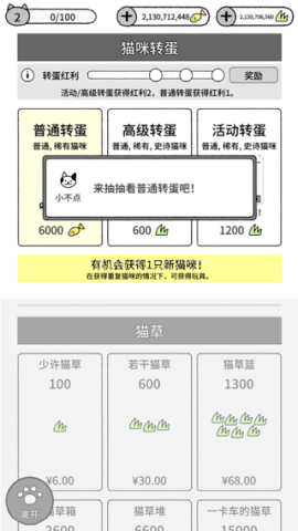 猫咪真的很可爱 第6张图