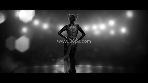 公鸡神探 公鸡神探