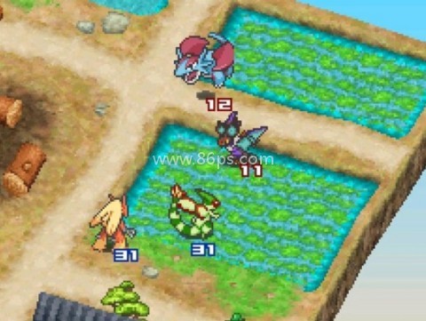 口袋妖怪信长的野望