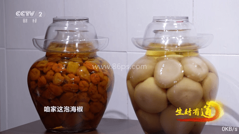 飞扬直播电视tv