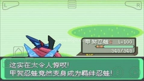 口袋妖怪绿宝石802