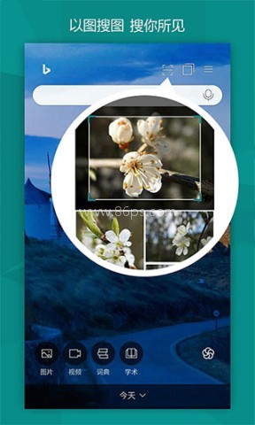 微软必应国际版