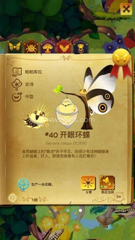 彩翼蝴蝶保护区 第1张图