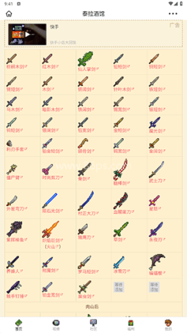 泰拉酒馆wiki 第2张图