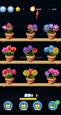 花团锦绣 第4张图