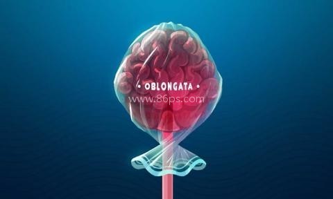 化为灰烬 第2张图