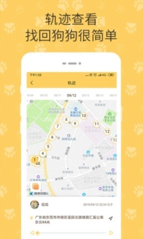 陪彼宠物 第1张图
