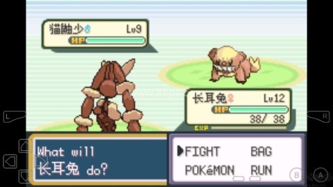 口袋妖怪无名 第1张图