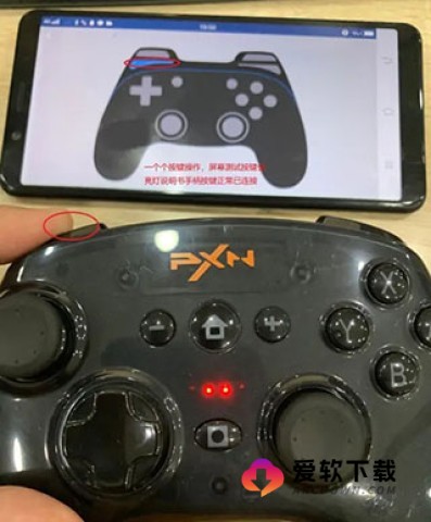 小鸡模拟器精简版 第6张图