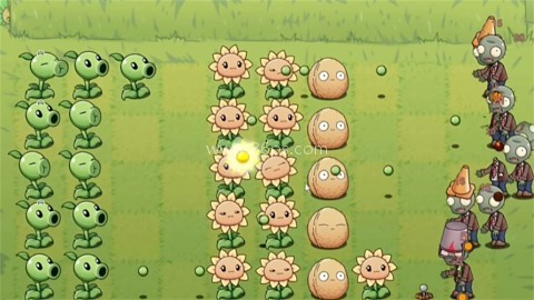 植物大战僵尸LG