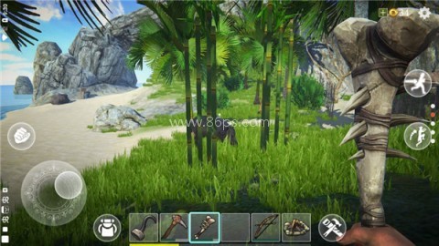 最后的海盗岛屿生存中文版MOD