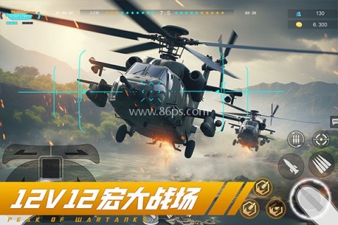 巅峰坦克国际服