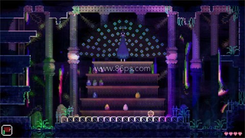 动物井 第2张图