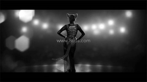 公鸡神探 第1张图