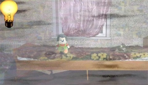 刺猬的五夜后宫 第3张图