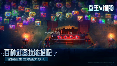 重生细胞免付费全dlc