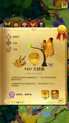 彩翼蝴蝶保护区 第3张图