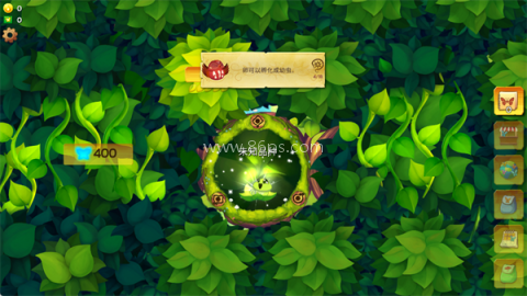 彩翼蝴蝶保护区