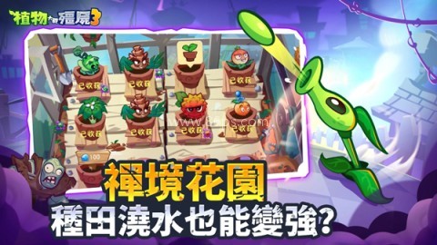 植物大战僵尸3国际服