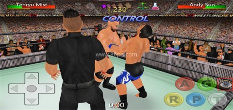 摔跤革命3D 第6张图