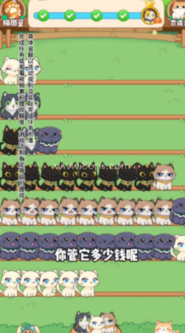 猫咪解压馆 第2张图