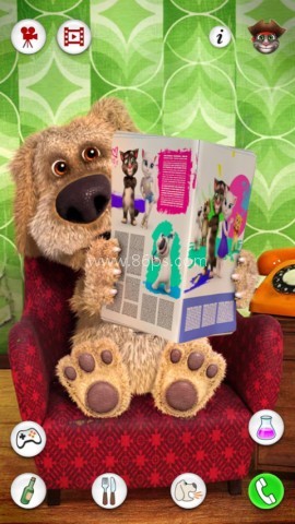 会说话的狗TalkingDog