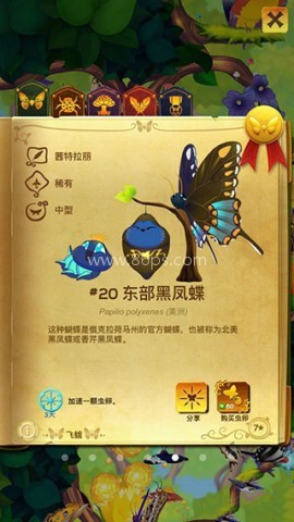 彩翼蝴蝶保护区 第5张图