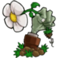植物大战僵尸锤版