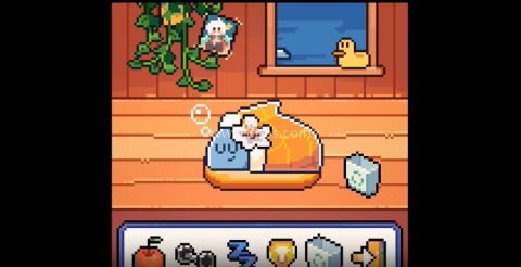 我的小鲨鱼游戏 第6张图