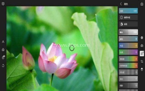 泼辣修图 第1张图