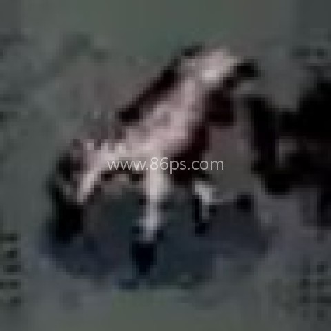 植物大战僵尸恐怖版 第8张图