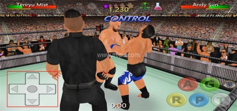 摔跤革命3D 第4张图