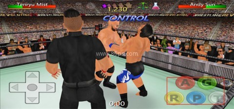 摔跤革命3D 第5张图