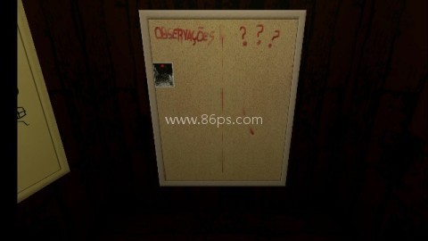 动物观察员 第1张图