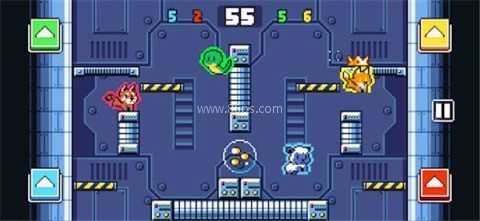 动物竞技场 动物竞技场