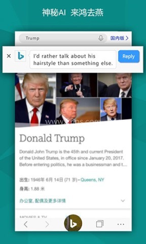 微软必应国际版