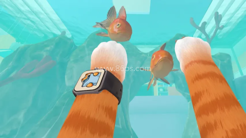 奶奶的贴心小猫 第2张图