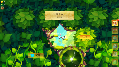 彩翼蝴蝶保护区