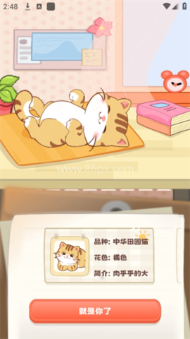 桌面喵 第2张图