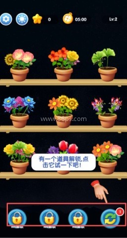 花团锦绣 第3张图