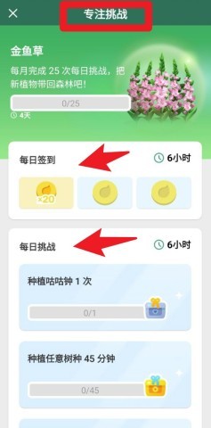 forest官网版 第6张图