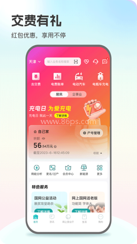 网上国网app