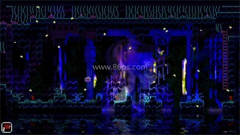 动物井 第1张图