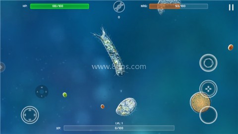 孢子模拟器 第5张图