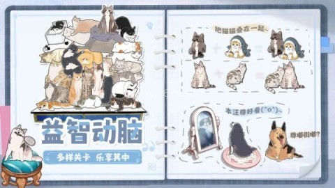 挤在一起的猫猫无限体力