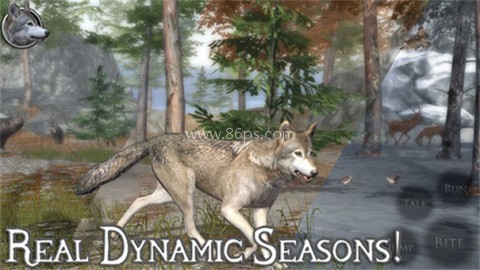 终极野狼模拟器2