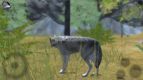 终极野狼模拟器2 第2张图